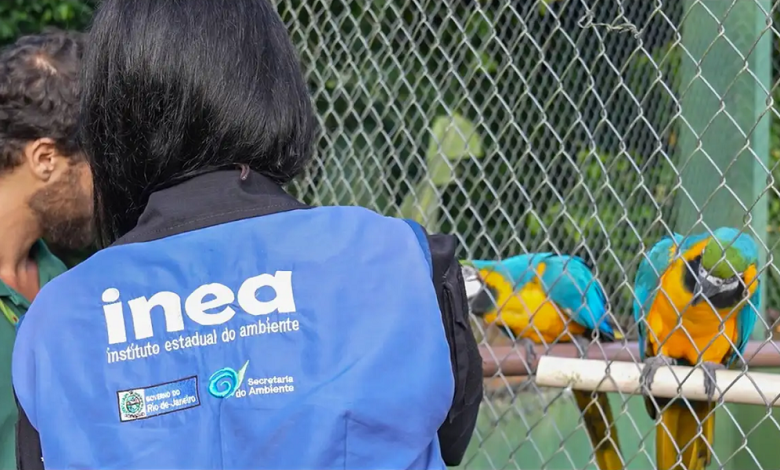 Operação resgata jabutis, macacos pregos e mais de 20 aves em sítio no Rio de Janeiro