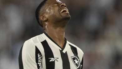 CBF divulga áudio do VAR em gol anulado de Júnior Santos pelo Botafogo: “braço dele”
