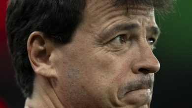 Fernando Diniz afirma que o Fluminense vai passar por mais melhorias
