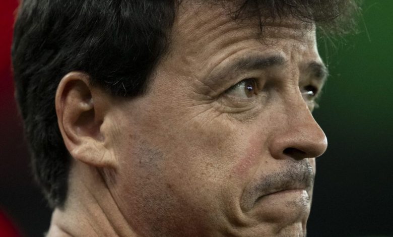 Fernando Diniz afirma que o Fluminense vai passar por mais melhorias