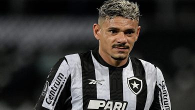 Textor oferece renovação à Tiquinho Soares no Botafogo; saiba os valores