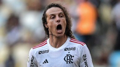 Flamengo deve renovar com David Luiz no final da temporada