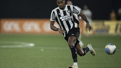 Júnior Santos faz gol da vitória do Botafogo e dedica a mulher e Tiquinho