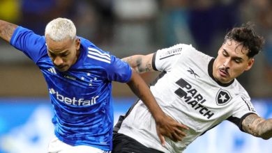 Botafogo x Cruzeiro AO VIVO