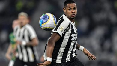 Torcedores do Botafogo dão apoio a Júnior Santos após lesão