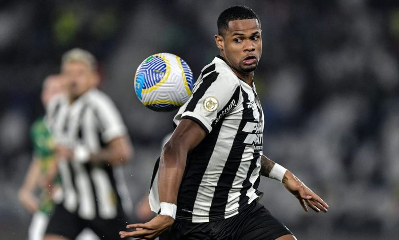 Torcedores do Botafogo dão apoio a Júnior Santos após lesão