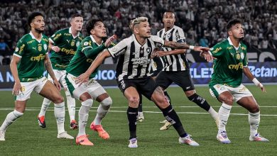 Botafogo x Palmeiras horário, escalações do jogo, arbitragem e informações principais