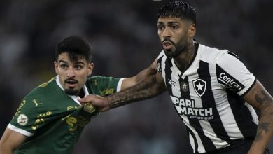 Palmeiras x Botafogo AO VIVO