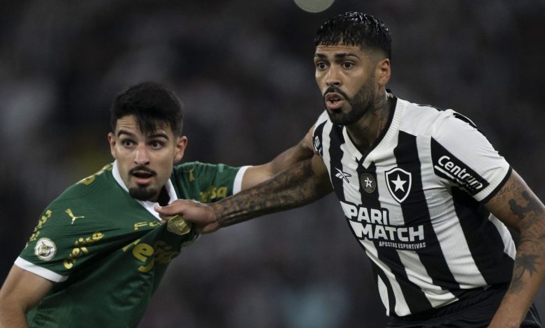 Palmeiras x Botafogo AO VIVO