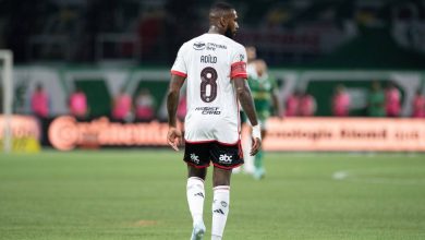 Pênalti em Gerson do Flamengo cria polêmica contra Palmeiras