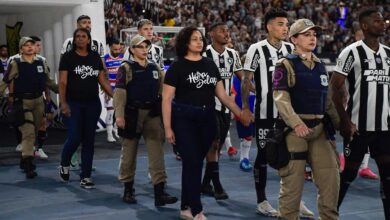 Botafogo de 2024 tem média semelhante a antigos campeões brasileiros