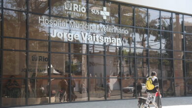 Atendimento no Hospital Veterinário Jorge Vaitsman mais que dobra depois da reforma - Prefeitura da Cidade do Rio de Janeiro