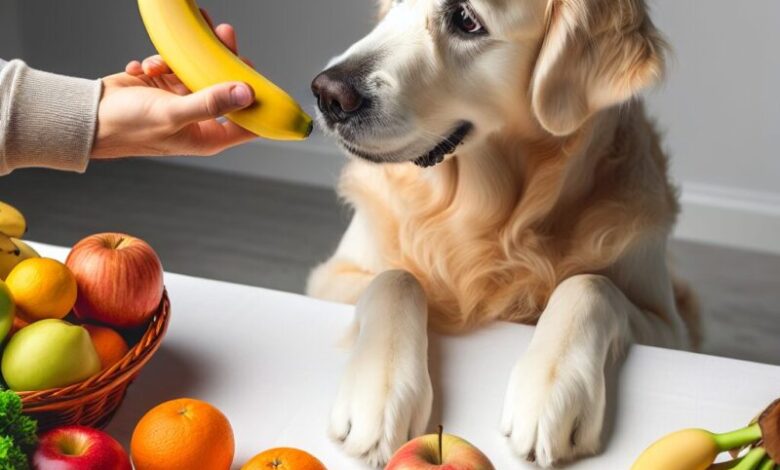 Cachorro pode comer banana​?