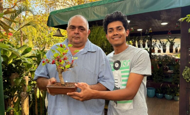 Onde Encontrar Bonsai no Rio de Janeiro
