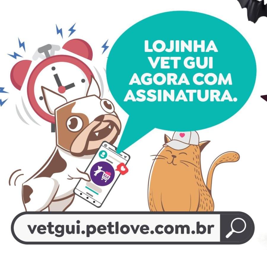 produtos que seu pet sempre precisa