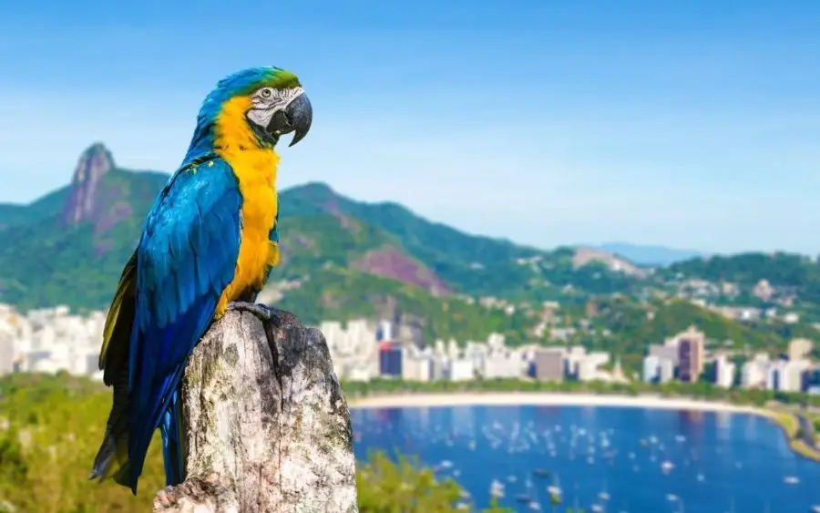 7 dicas para aproveitar o Rio de Janeiro em um fim de semana