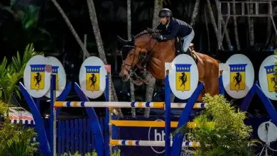 A grande comemoração do 85o aniversário da Sociedade Hípica Brasileira levou os melhores conjuntos do Brasil para competir na Pista Roberto Marinho.