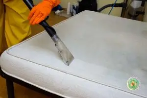 Homeclean: Líder em Limpeza de Estofados no Rio de Janeiro
