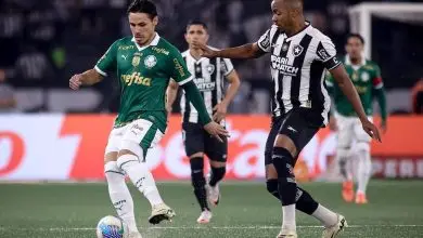 Botafogo x Palmeiras AO VIVO – Onde assistir ao jogo da Libertadores