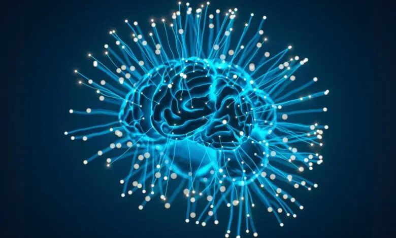 Tecnologia e neurociência se unem para estudar o cérebro