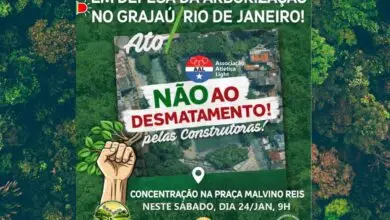 Manifestação em defesa das árvores do Grajaú