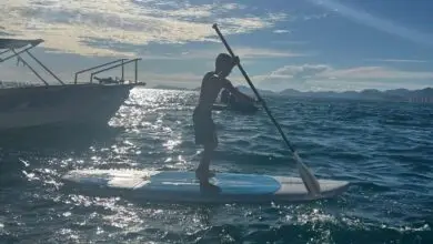 Ilhas Tijucas: passeio em mar aberto revela outro lado da Barra