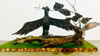 Exposição destaca talento artístico de garis da Comlurb no Rio